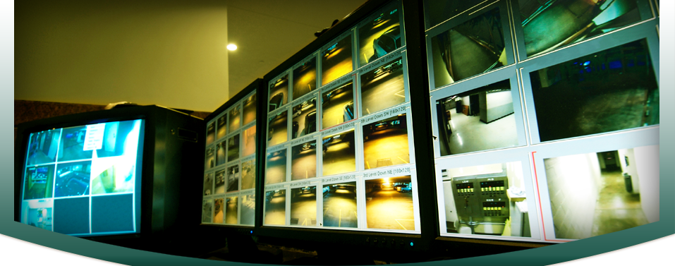 Integrated security services